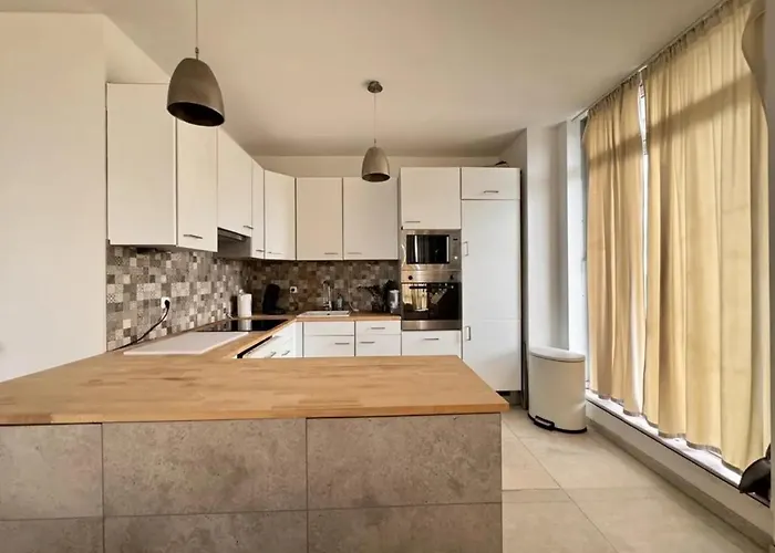 Rheinpanorama Penthouse Duesseldorf דירה